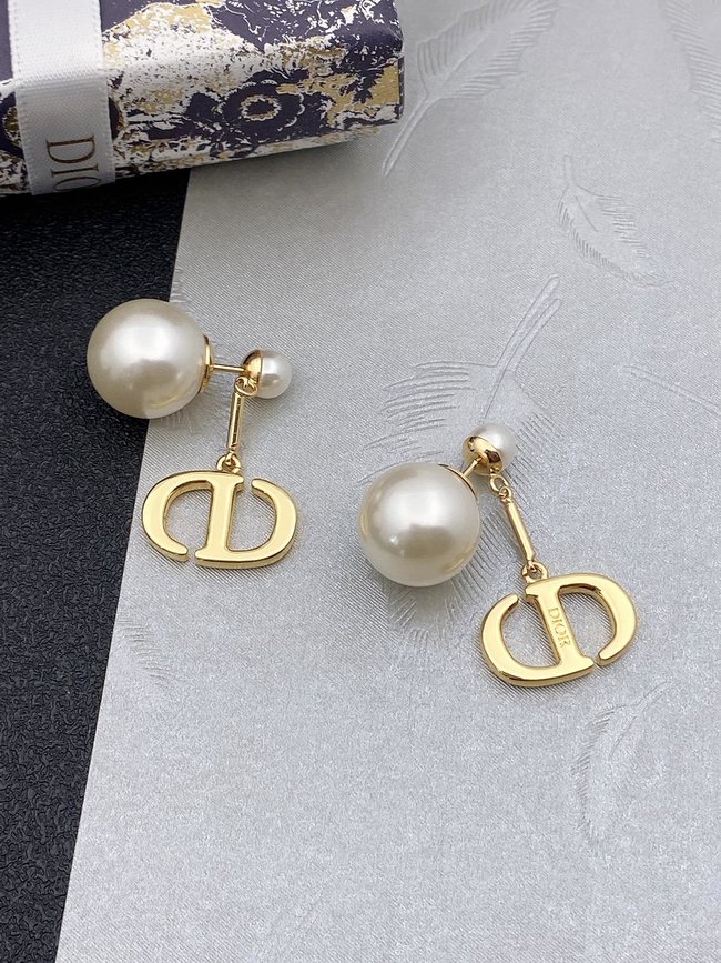 Dior Earring CSJ34231352