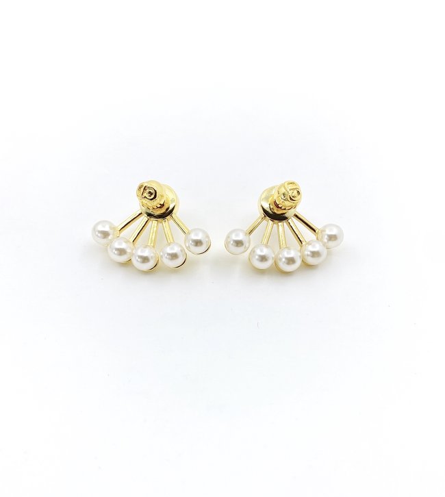 Dior Earring CSJ31542221
