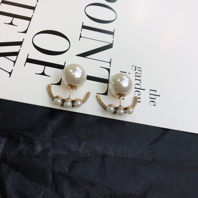 Dior Earring CSJ21142442