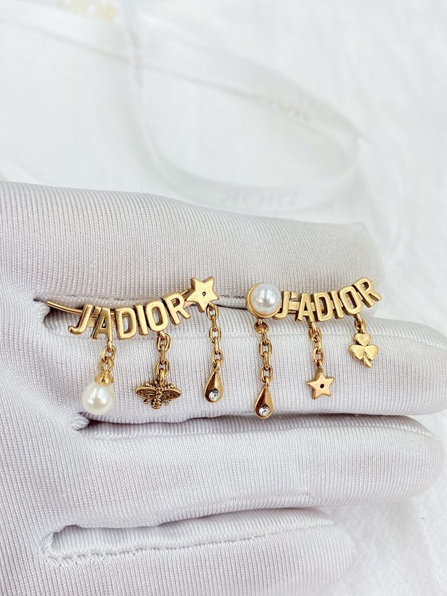 Dior Earring CSJ30576295