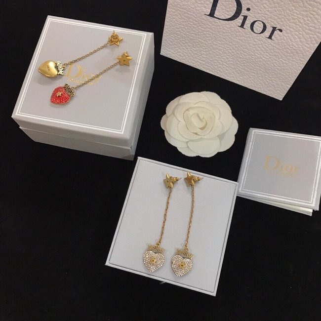 Dior Earring CSJ21144412