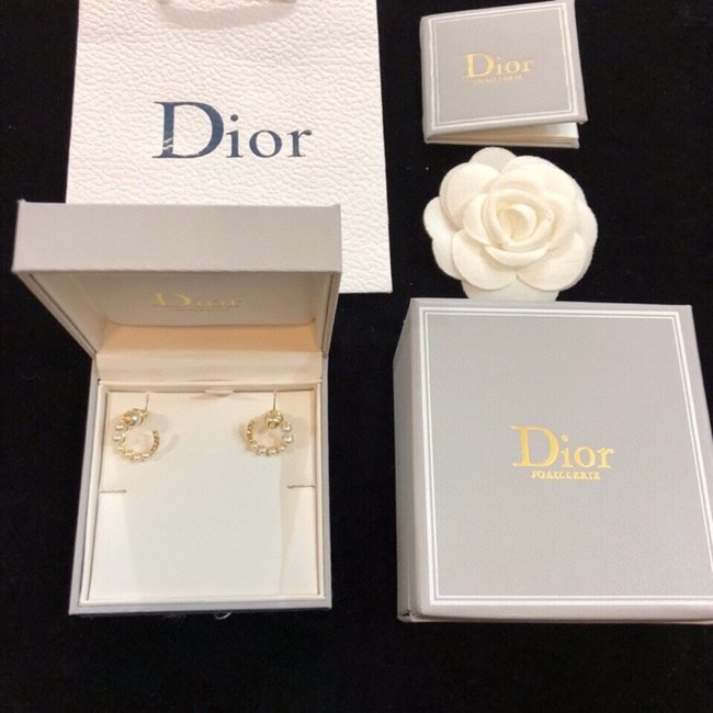 Dior Earring CSJ14541131