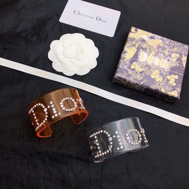 Dior Bracelet CSJ00001627