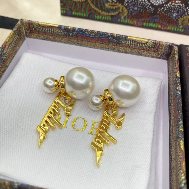 Dior Earring CSJ15315533