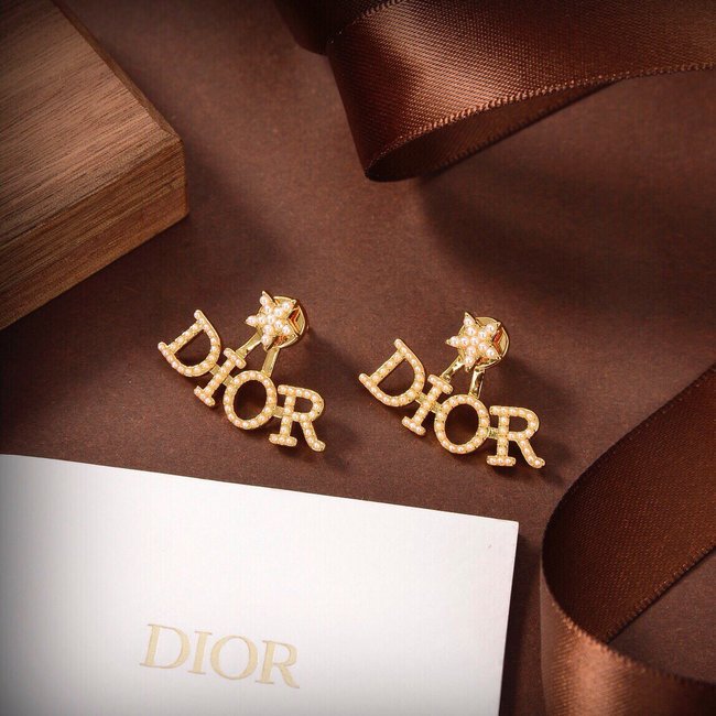 Dior Earring CSJ31315351