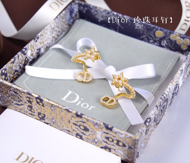 Dior Earring CSJ55545551