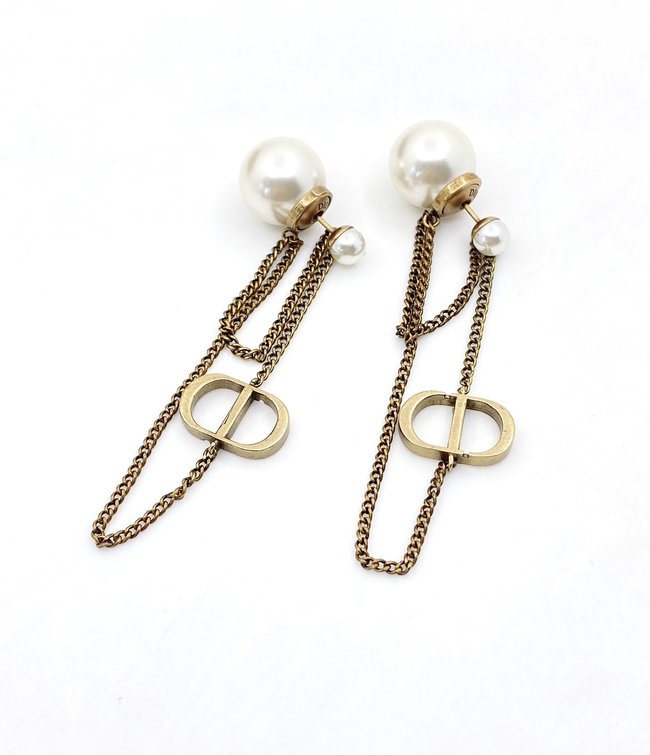 Dior Earring CSJ12213453