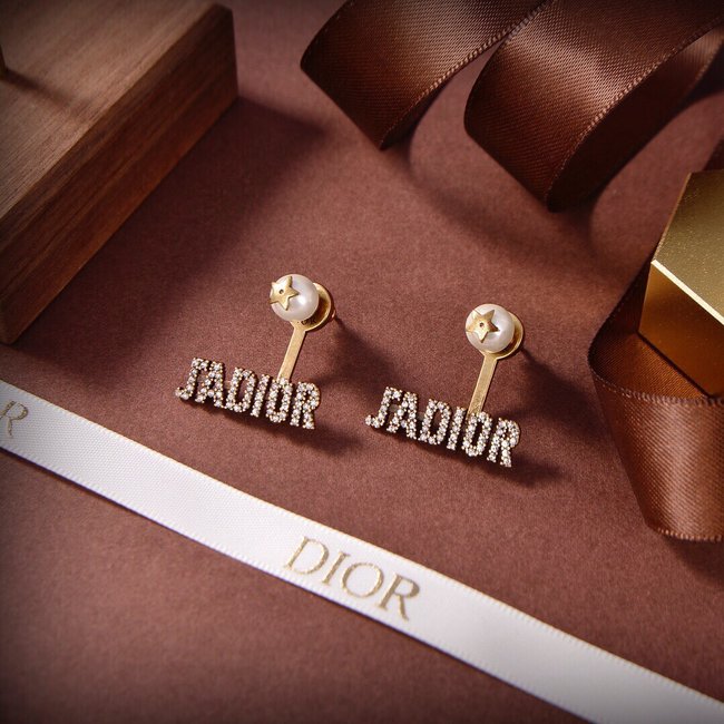 Dior Earring CSJ12421435