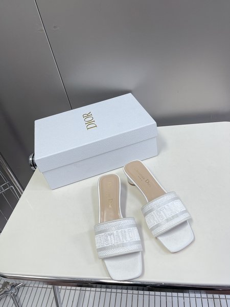 Dior classic block heel slippers