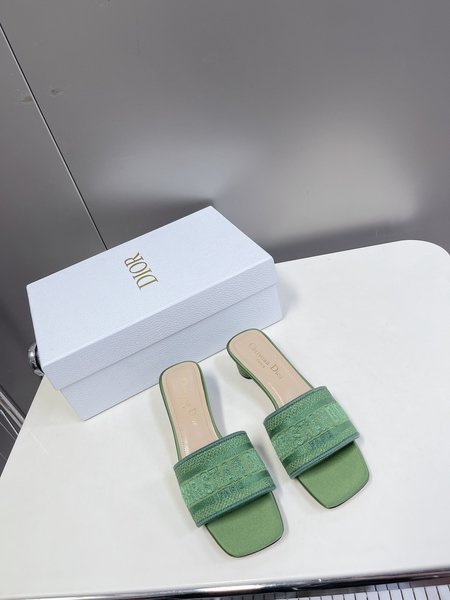 Dior classic block heel slippers