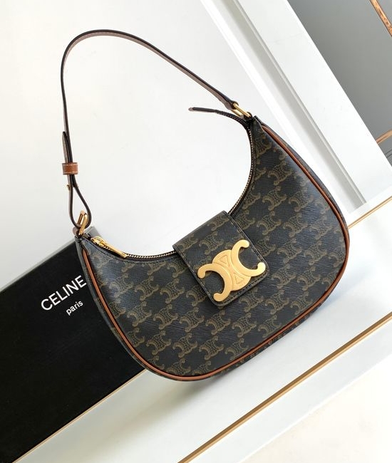 Celine AVA TRIOMPHE Printed Leather Handbag 114492