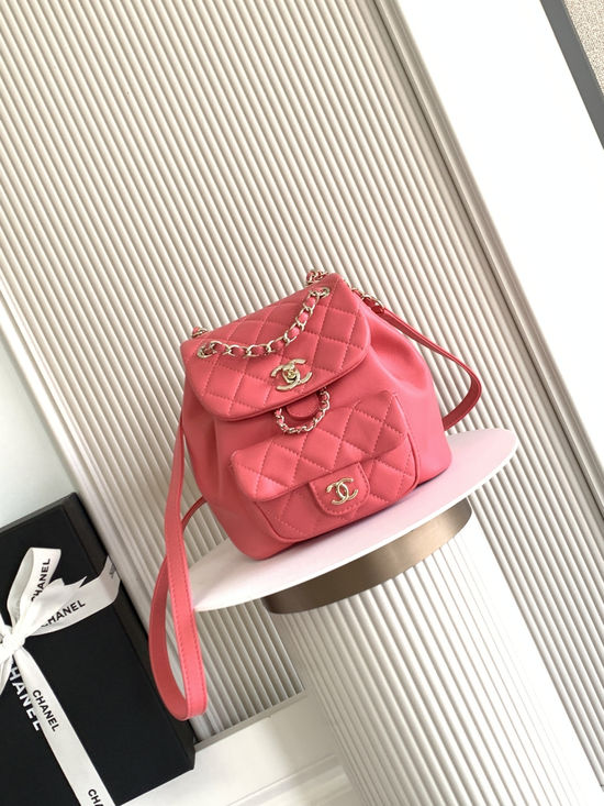Chanel DUMA Sheepskin Small Backpack AS2908