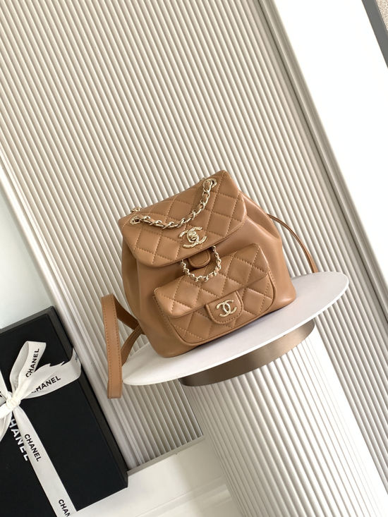 Chanel DUMA Sheepskin Small Backpack AS2908