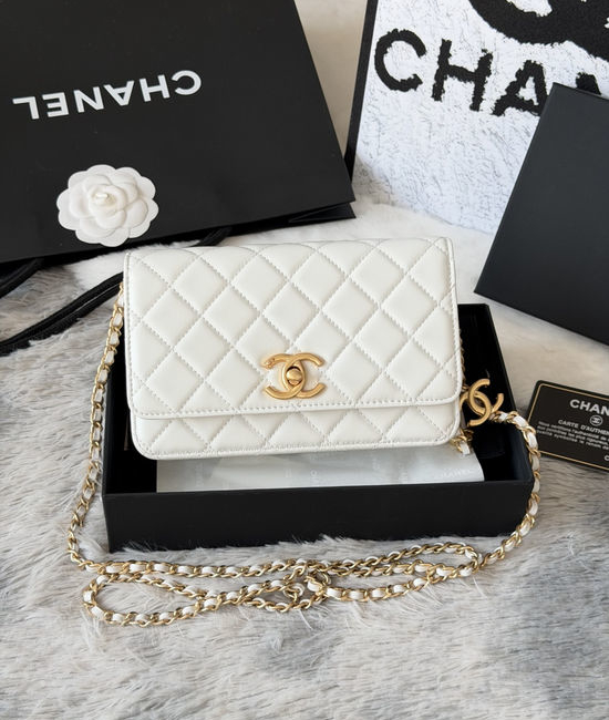 Chanel WOC Wallet On Chain AP4038