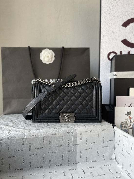 Chanel Leboy Classic Caviar Handbag A67086