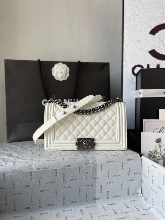 Chanel Leboy Classic Caviar Handbag A67086