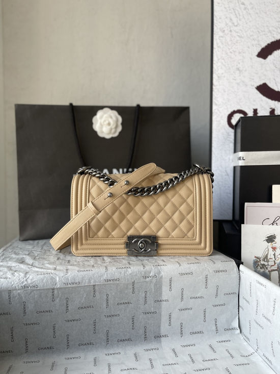 Chanel Leboy Classic Caviar Handbag A67086