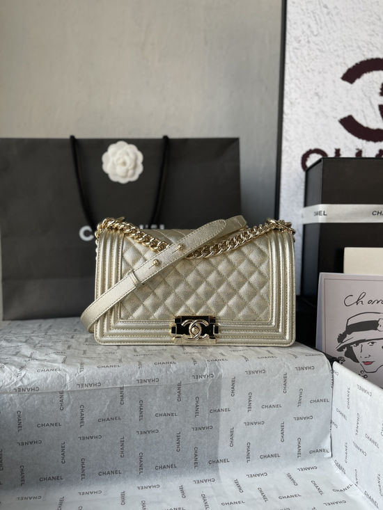 Chanel Classic Leboy Caviar Leather Handbag A67086