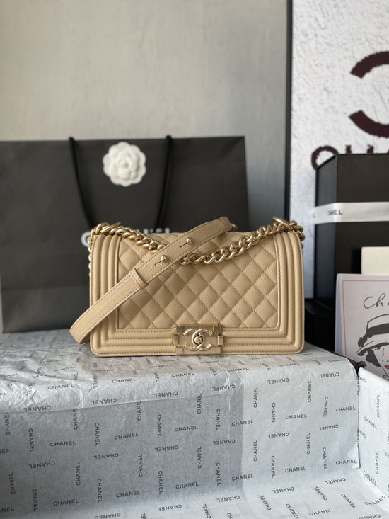 Chanel Leboy Classic Caviar Handbag A67086