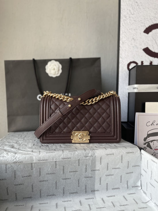 Chanel Leboy Classic Caviar Handbag A67086