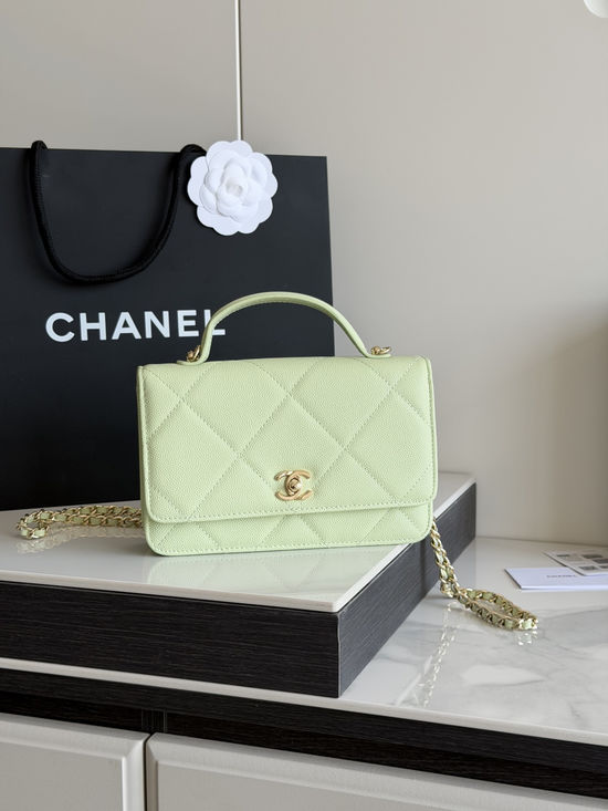 Chanel Handled WOC Bag Sophisticated Crossbody AP5031