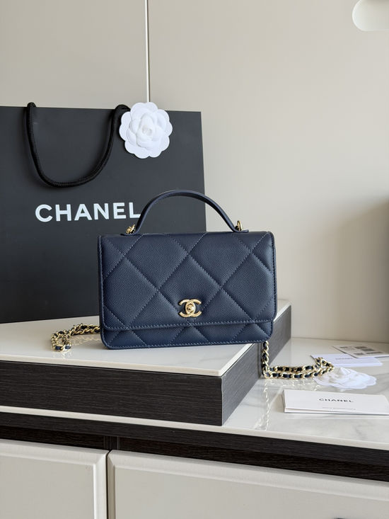 Chanel Handled WOC Bag Elegant Small Shoulder Bag AP5031