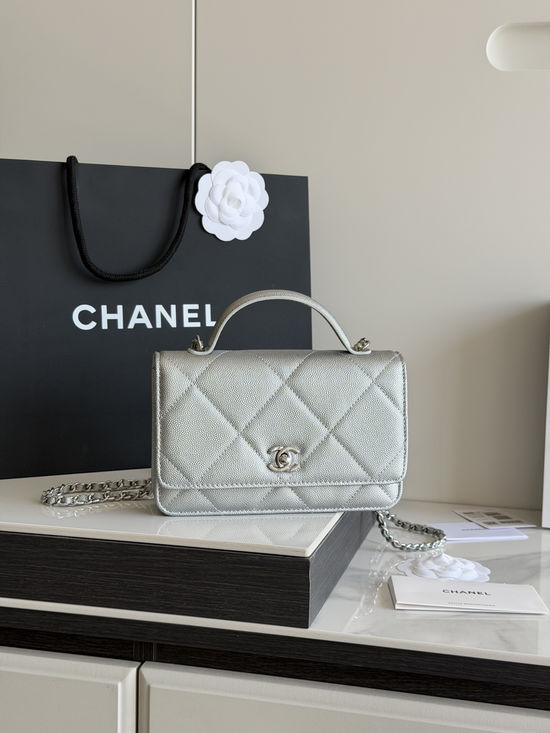 Chanel Handled WOC Crossbody Bag Exquisite Embroidery AP5031
