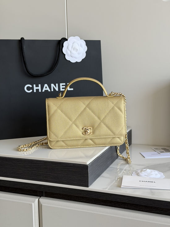 Chanel Handled WOC Crossbody Bag Luxury Rotating Logo AP5031