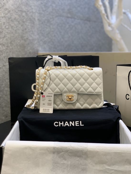 Chanel Classic Fishscale Leather Bag 01112