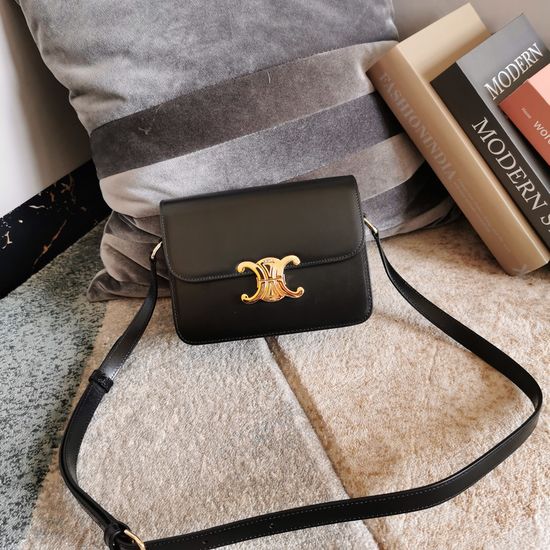 Celine Triomphe Classic Leather Shoulder Bag 188423