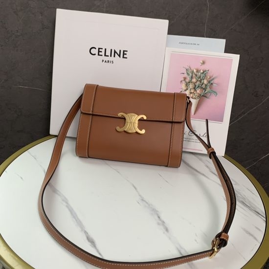 Celine Triomphe Wallet On Chain 195263