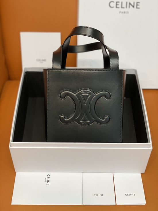 Celine Triomphe Cube Handbag 199202