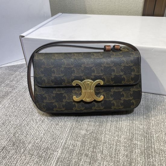 Celine Triomphe Underarm Bag 194142