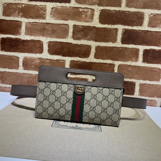 Gucci Brown Leather Handbag Classic Look 704196