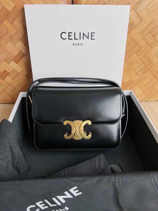 Celine TEEN TRIOMPHE Calfskin Handbag 188423
