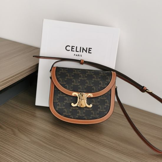 Celine Triomphe Saddle Bag Vintage Brown Pattern 110962