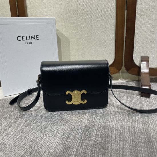 Celine TEEN TRIOMPHE Leather Classic Bag 188423