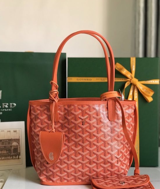 Goyard Classic Collection Premium Upgraded Bag with Accessories 6777
