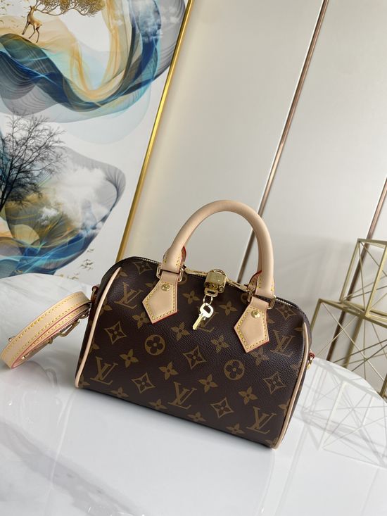 Louis Vuitton SPEEDY Monogram Handbag M46234