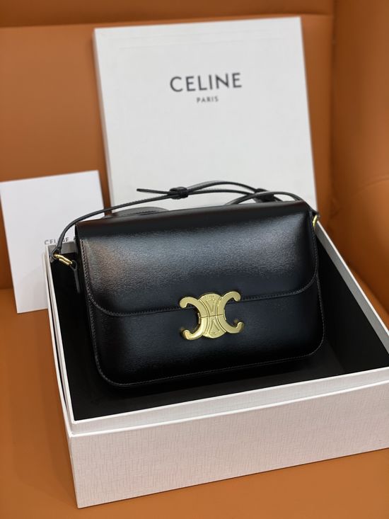 Celine Triomphe Classic Leather Bag 187366