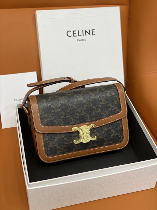 Celine Triomphe Printed Canvas Bag 187366