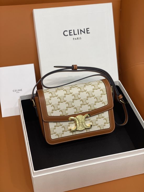 Celine Triomphe Printed Leather Bag 188423