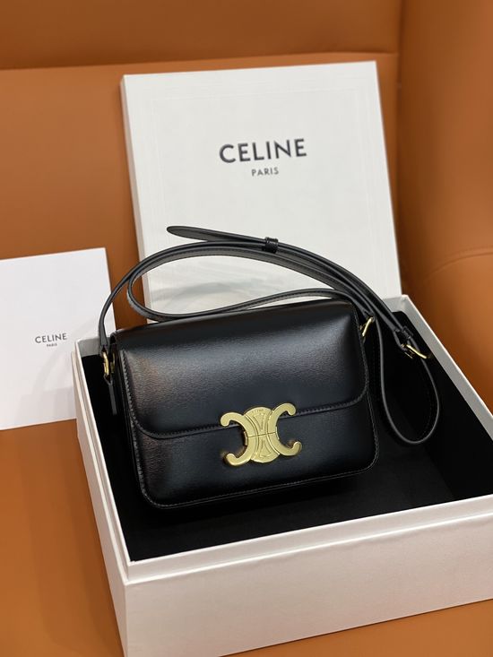Celine Triomphe Classic Leather Bag 188423