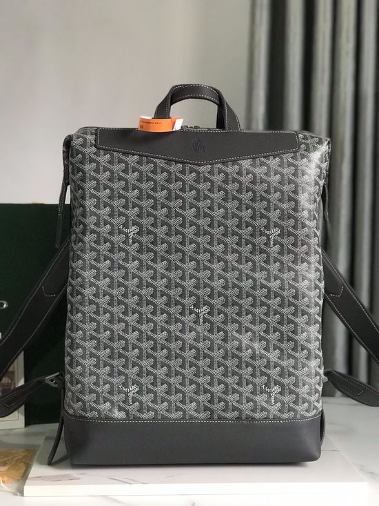 Goyard Cisalpin Practical Structured Backpack 11404