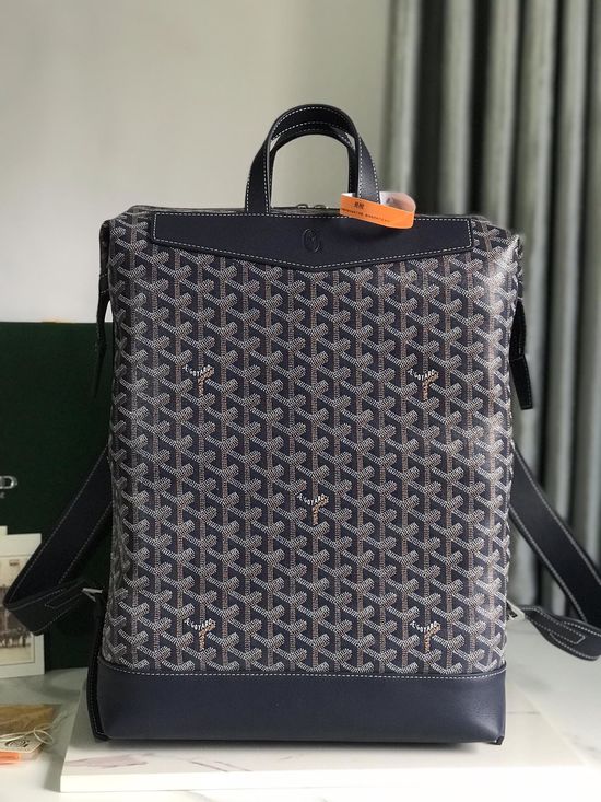 Goyard Cisalpin Practical Structured Backpack 11402