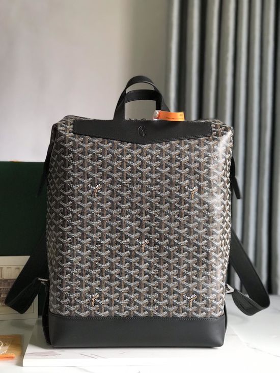 Goyard Cisalpin Practical Structured Backpack 11401