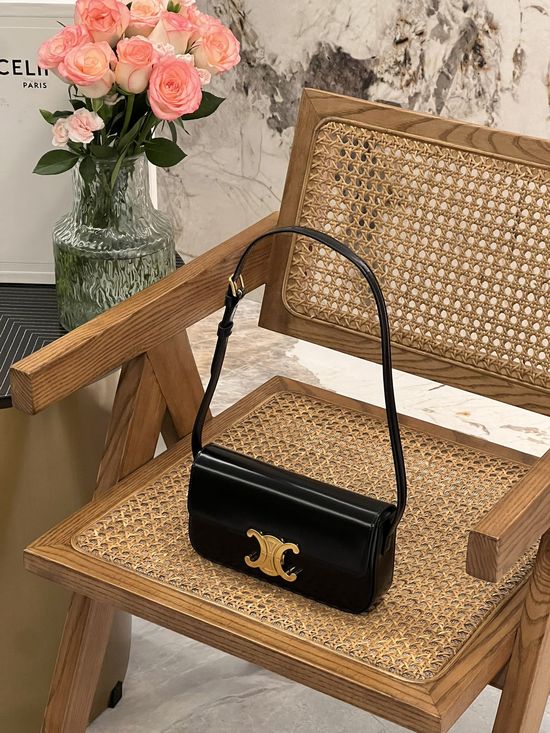 Celine Triomphe Shoulder Bag 194142