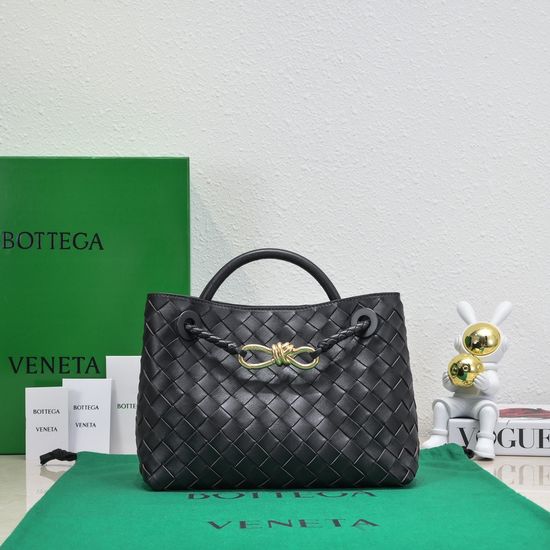 Bottega Veneta Andiamo Woven Handbag 9168