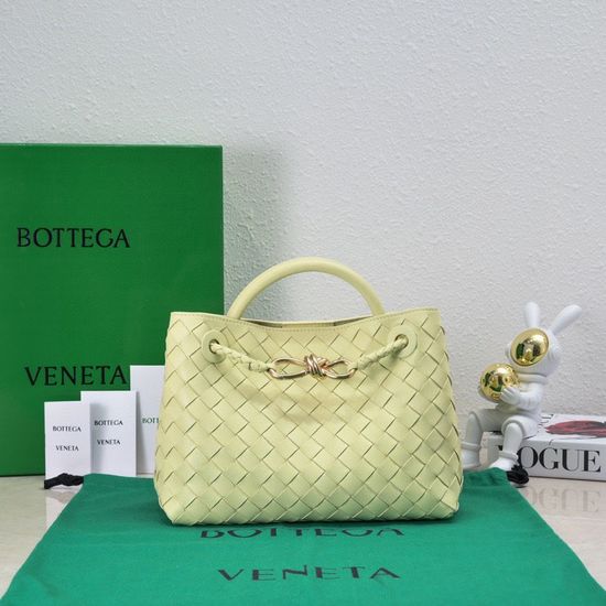 Bottega Veneta Andiamo Woven Leather Bag 9165