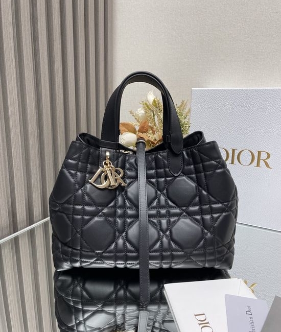 Christian Dior CD Toujours Medium Leather Handbag 2821